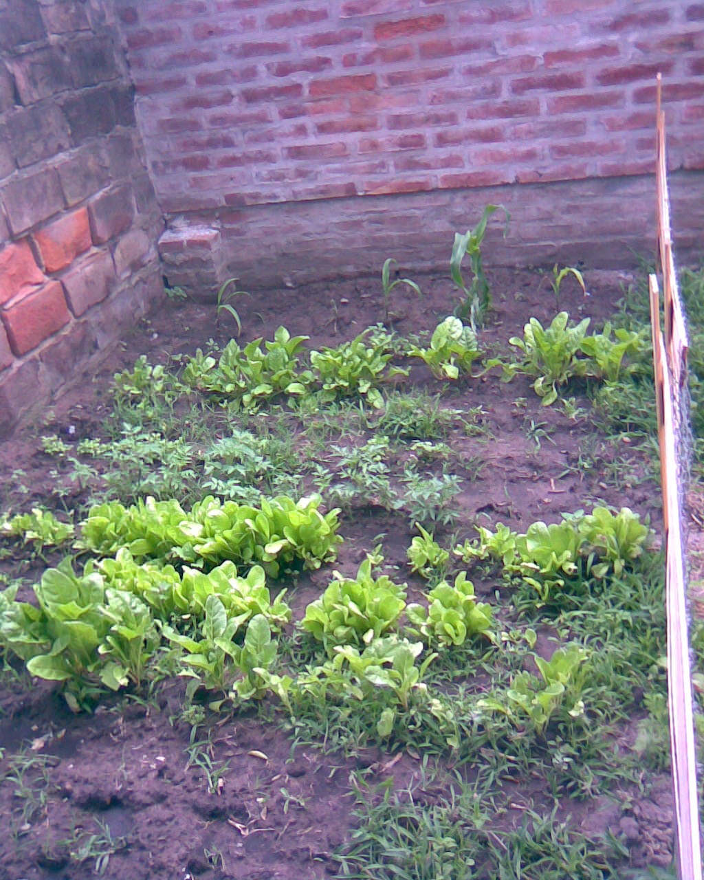 fotos/2007-11-21 - Primera quinta/Imagen076.jpg